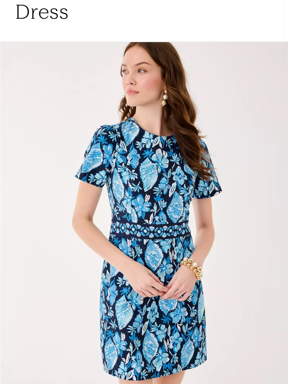 NWT Lilly Pulitzer Brynne Shift Dress Size 2